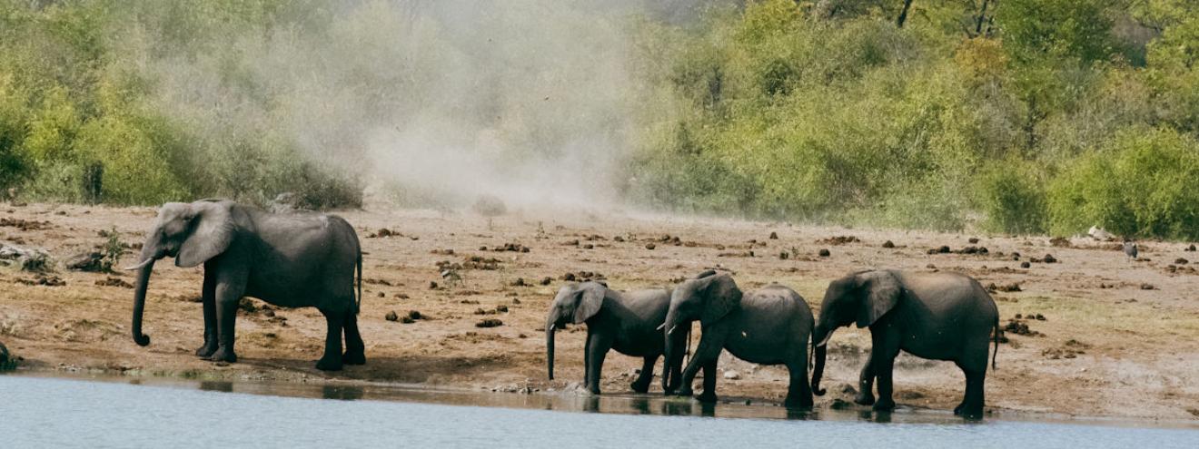 10 best places safari 2026 Serengeti Masai Mara Kruger Okavango Delta Zambia Hwange Etosha Namibia
