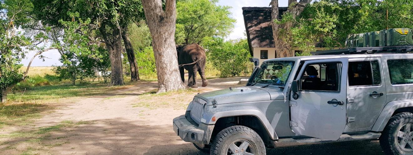 Day tours in Botswana Maun Kasane Okavango mokoro boat scenic flight Chobe Victoria Falls meerkats