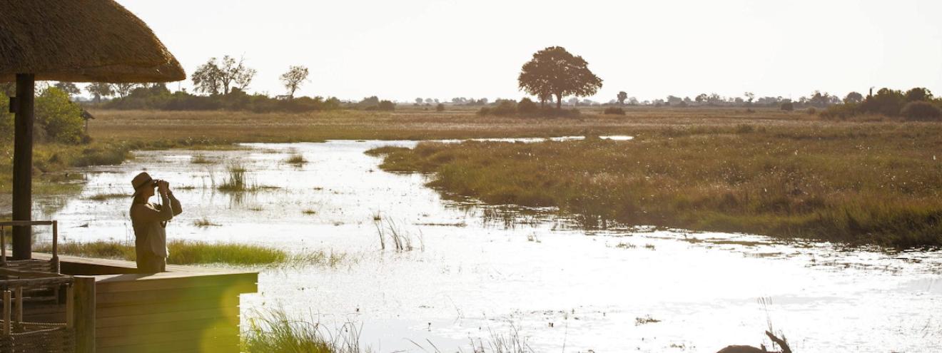 10 places to visit Botswana Okavango Chobe Moremi Kalahari Linyanti Savuti Tsodilo Hills