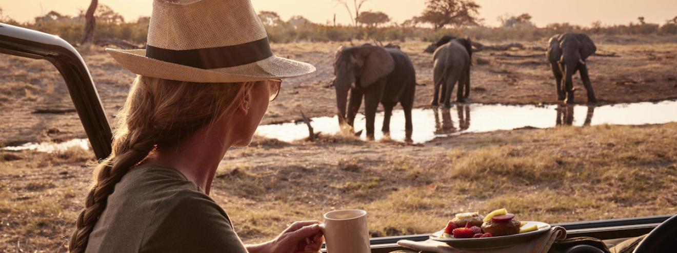 10 reasons to visit Savuti Botswana elephants lions African wild dogs Savuti Marsh Channel ancient rock art