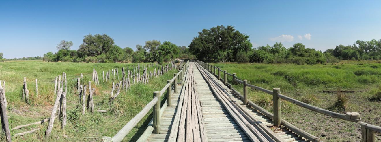 Best Okavango Delta safari itinerary 10 days Chobe Savuti Moremi mokoro game drives dry season Botswana