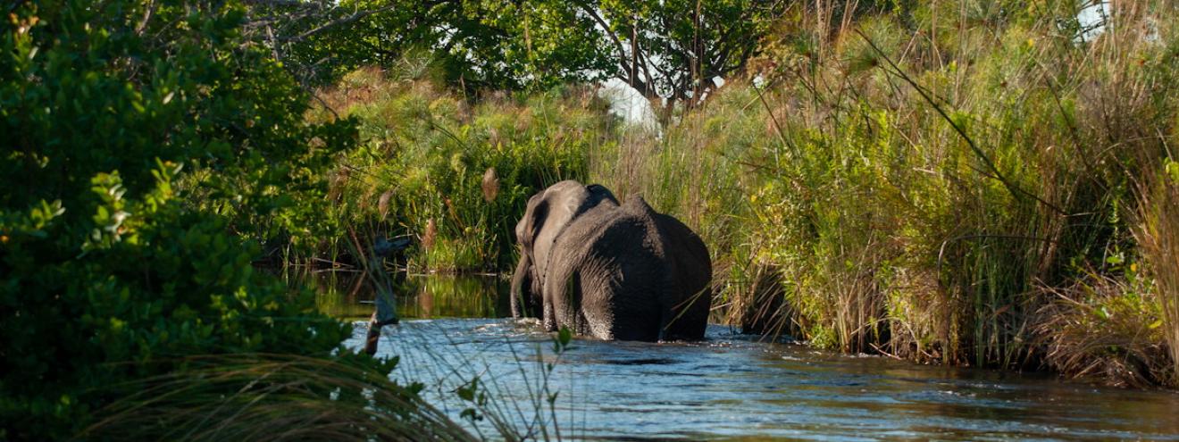 Camping in the Okavango Delta Botswana mobile safari mokoro dugout canoe 10000km² UNESCO World Heritage