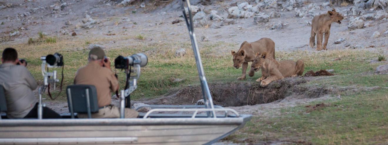 10 reasons to visit Chobe National Park Botswana 120000 elephants boat safari Big Five birdwatching Victoria Falls