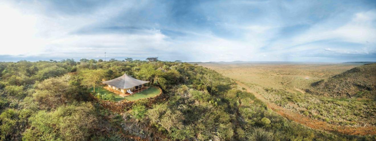 Laikipia Plateau savannah landscape with wildlife grazing beneath Mount Kenya's snow-capped peak, Kenya