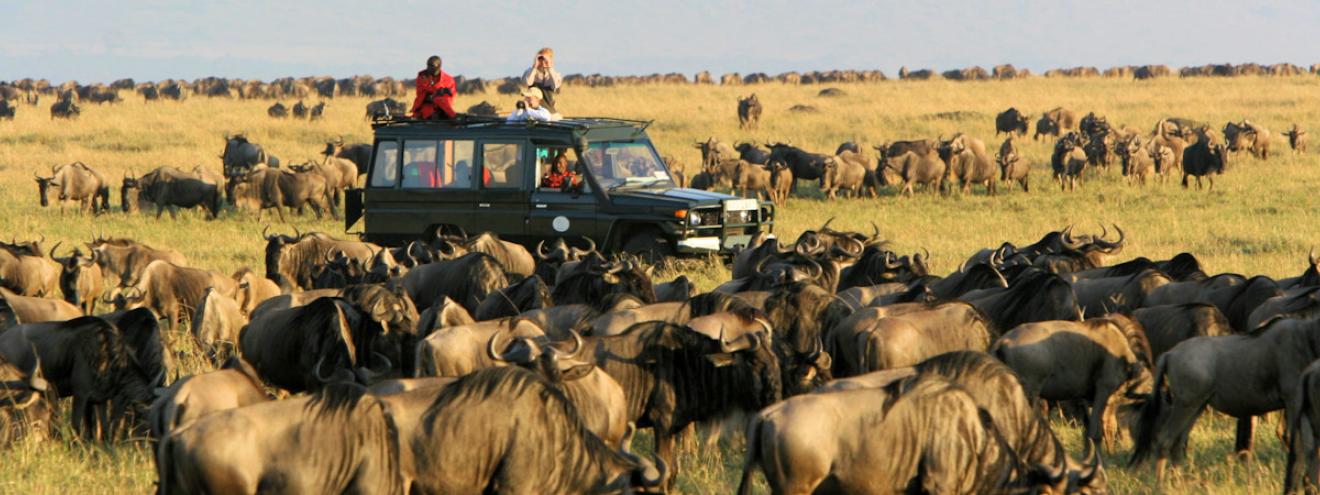 Top 10 reasons visit Masai Mara Great Migration wildebeest Big Five Maasai culture hot air balloon Kenya