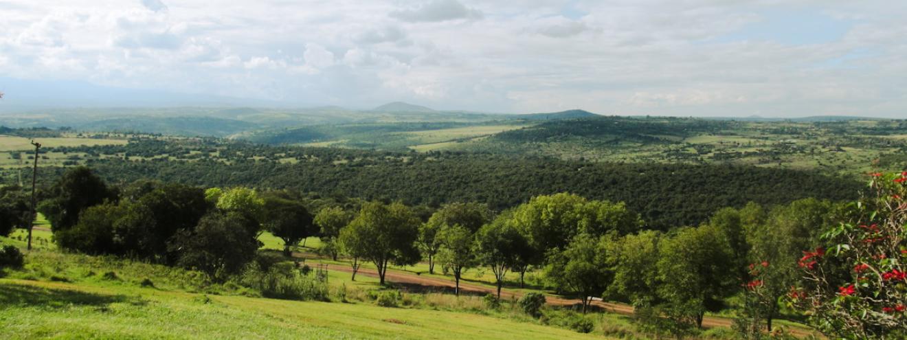 Aberdare National Park Safari Kenya 766km² mountain rainforest moorland waterfall Big Five mountain bongo colobus