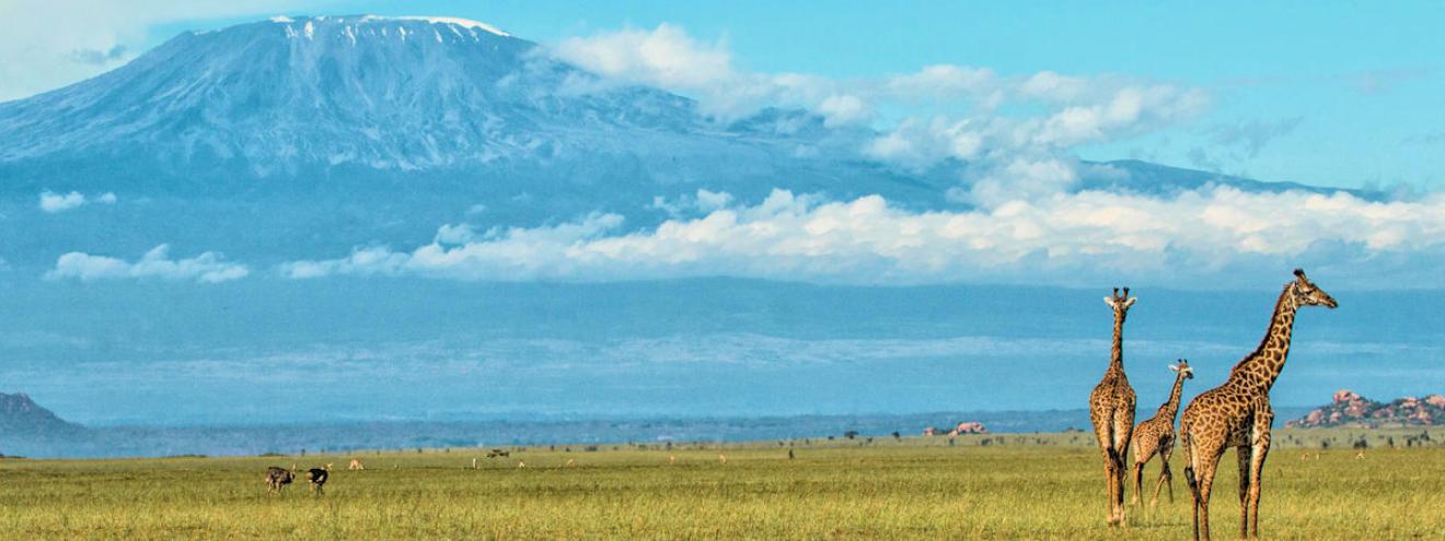 Best Kenya safari itinerary 10 days Nairobi Maasai Mara Lake Nakuru Amboseli Tsavo Diani Beach
