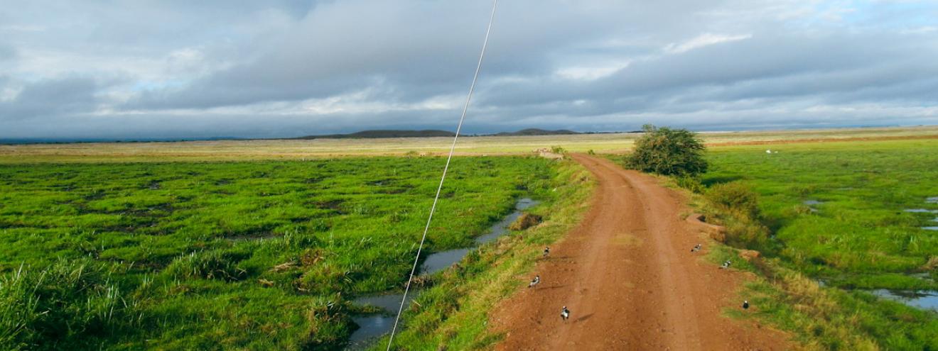 Exploring Amboseli National Park Kenya 39000 hectares Mount Kilimanjaro elephants Big Five 400 birds