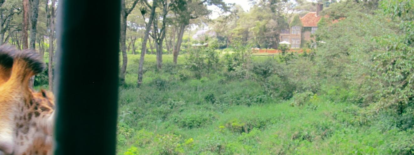 Giraffe Manor Review Nairobi Karen suburb 1930s English manor house Rothschild giraffe 10 rooms Kenya