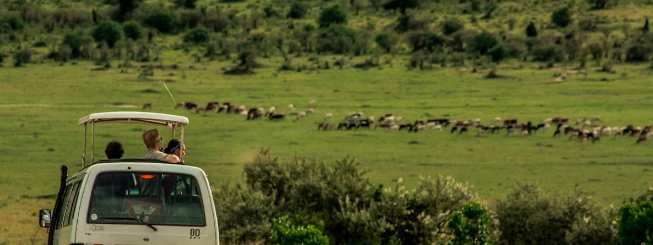Kenya top holiday destinations Masai Mara Amboseli Tsavo Mount Kenya Lake Nakuru wildlife safari