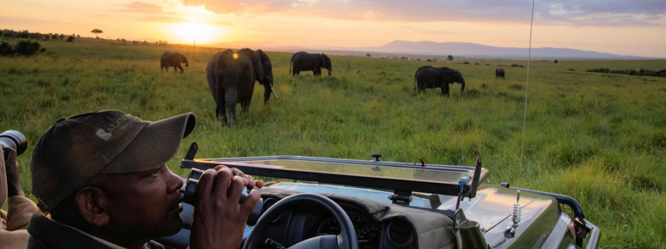 Masai Mara bucket list 15 experiences wildebeest migration river crossing balloon safari big cats Kenya
