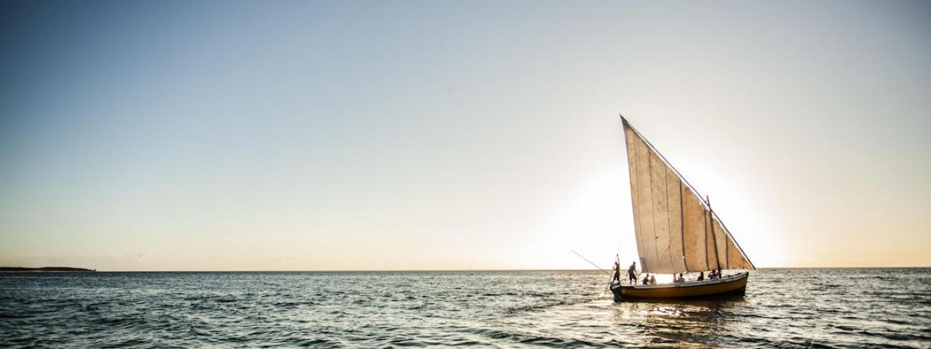 Mozambique underwater wonderlands Querimba Archipelago diving coral reefs seahorses whale sharks humpback whales