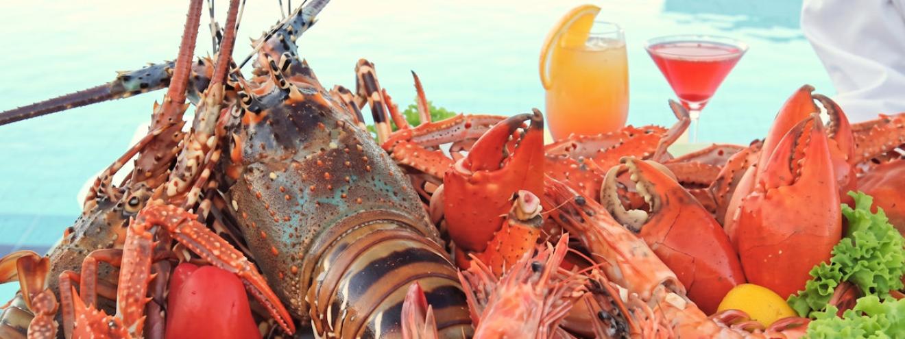 Top 5 restaurants in Maputo Clube Naval Zambi Costa do Sol MarNaBrassa Polana Hotel Mozambique