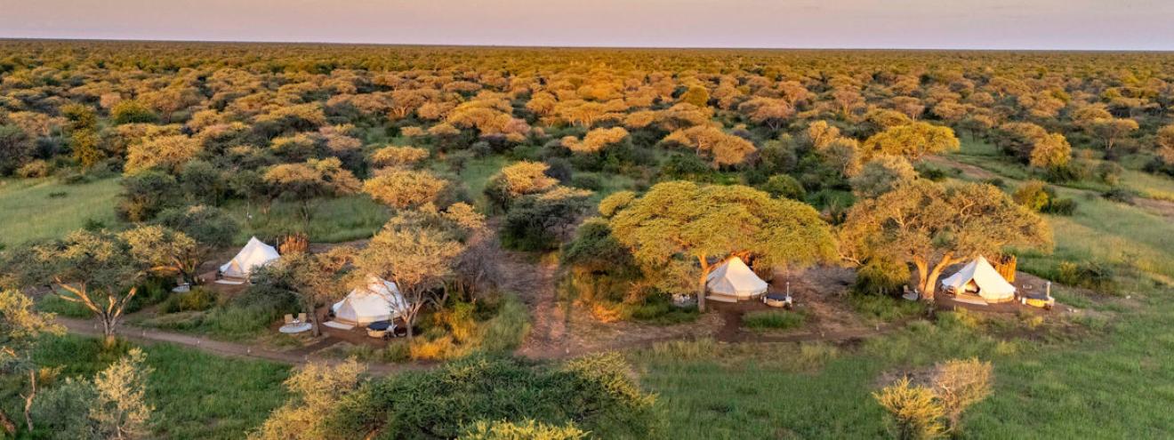 5 Best Lodges in Etosha National Park Namibia luxury safari camps private reserves waterhole game viewing