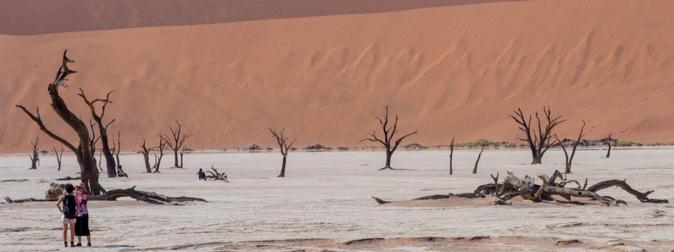 Best Namibia honeymoon destinations Sossusvlei Etosha Skeleton Coast Damaraland NamibRand luxury romance