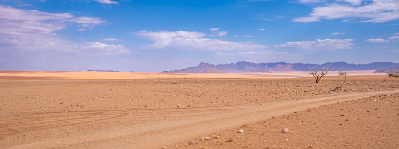 Namibia national parks Etosha Namib-Naukluft Skeleton Coast Fish River Canyon Waterberg wildlife