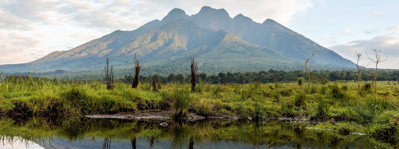 10 reasons visit Volcanoes National Park Rwanda mountain gorillas golden monkeys Bisoke Karisimbi Dian Fossey