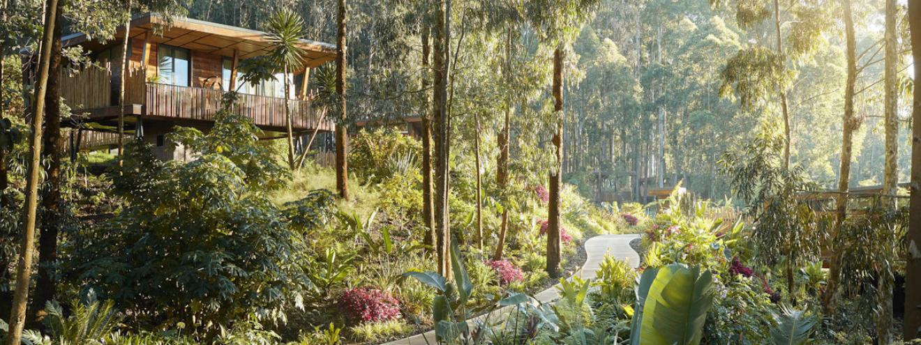 Best hotels in Rwanda Wilderness Bisate Singita Kwitonda Virunga Lodge Radisson Blu Marriott Kigali