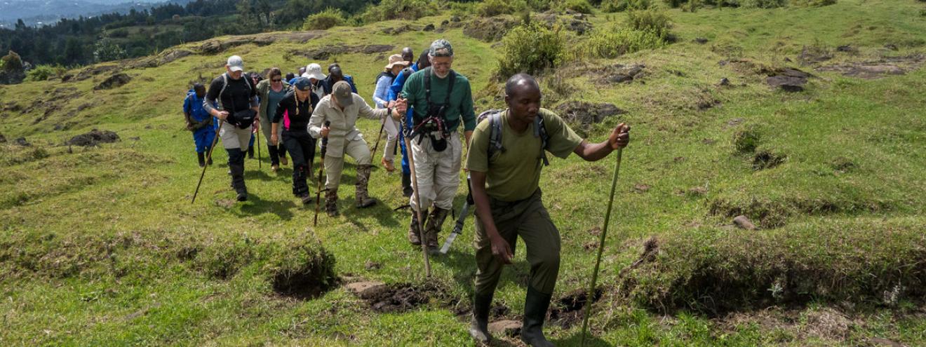 Gorilla trekking Rwanda Volcanoes National Park mountain gorillas permit $1500 Susa family Kigali 2 hours