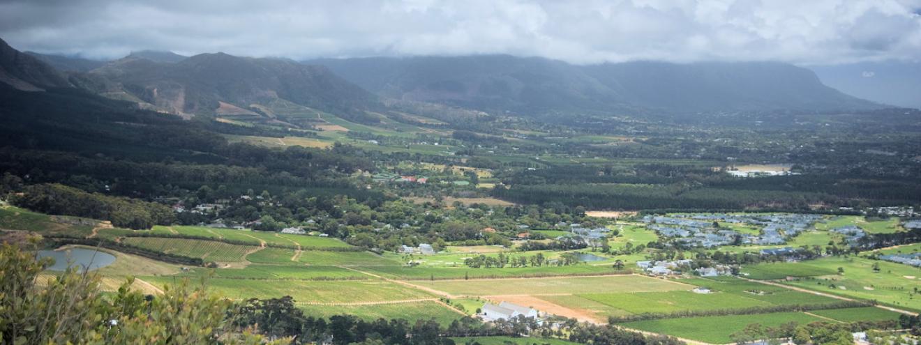 Constantia Winelands Cape Town Groot Constantia 1685 Klein Constantia Buitenverwachting Steenberg wine farms