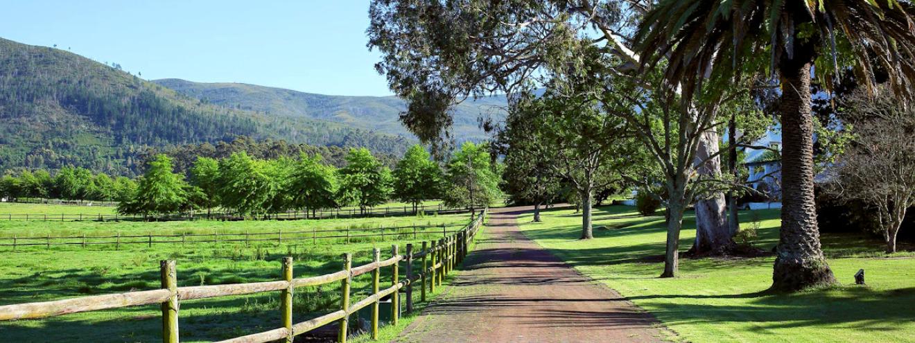 Kurland Hotel Review Plettenberg Bay Garden Route 12 rooms Behr family estate polo English manor house