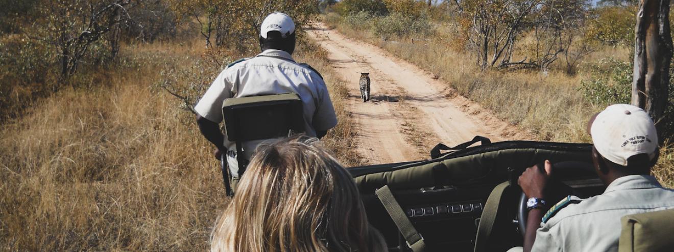 My 4-Day Kruger Adventure Skukuza Satara Thornhill elephants lion cheetah cubs Bundu Intrepid group tour