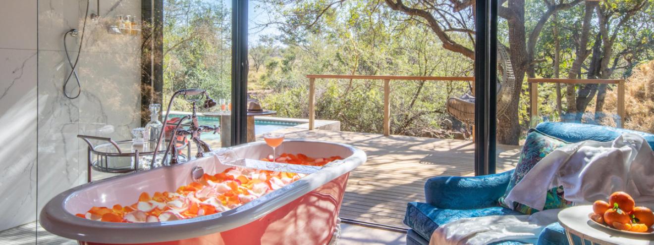 Private game lodges near Kruger National Park Thornybush Sabi Sand Singita Royal Malewane Lion Sands