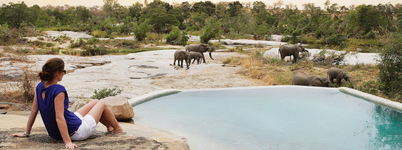 Perfect Kruger National Park honeymoon safari Sabi Sand Timbavati Singita Londolozi Tanda Tula romantic