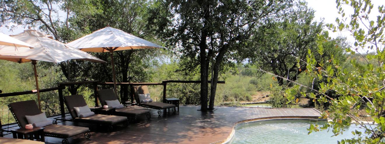 Impodimo Game Lodge Review southern Madikwe unfenced 10 suites elephants pool wild dogs Mozambique cobra