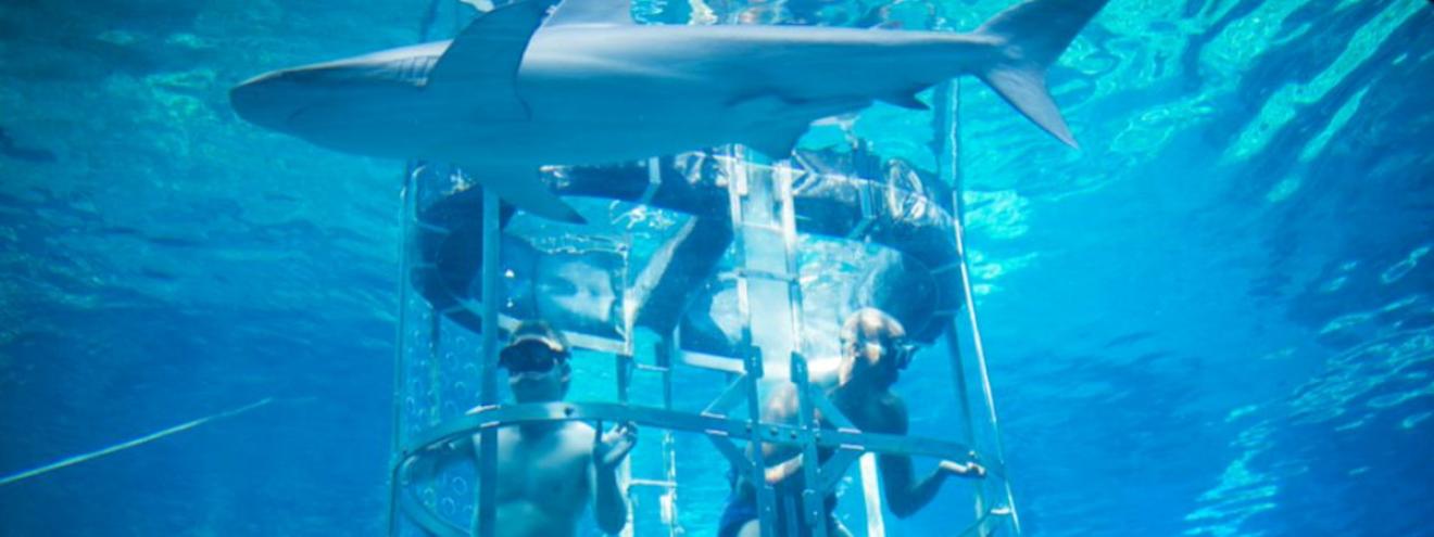 uShaka Marine World Durban 16ha 5th largest aquarium world shipwreck shark tank Cargo Hold restaurant
