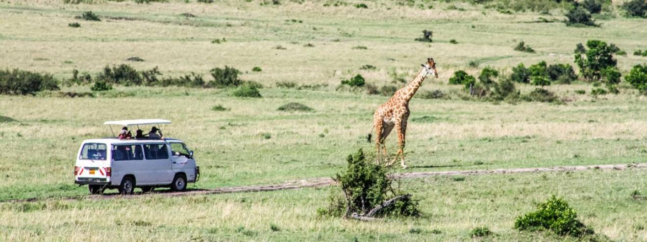 Blog and trael posts in Tanzania