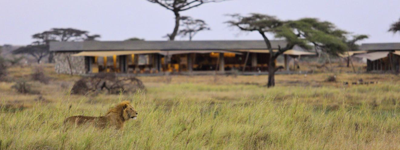 10 best lodges Serengeti Singita Sasakwa Faru Faru Namiri Plains Ubuntu Elewana Pioneer Migration Camp