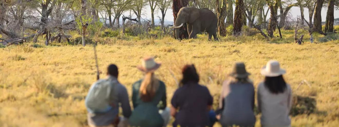10 best Serengeti safari holidays Great Migration wildebeest Tanzania top picks 2024 roundup