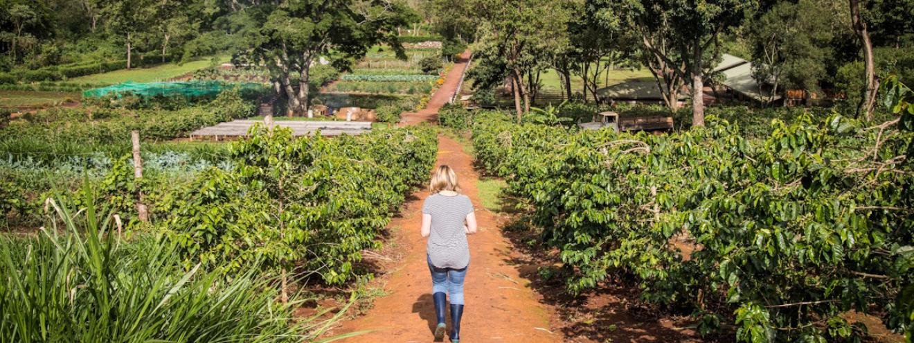 Best eco-friendly lodges Tanzania Gibb's Farm Dunia Camp Jabali Ridge Singita Faru Faru sustainable safari