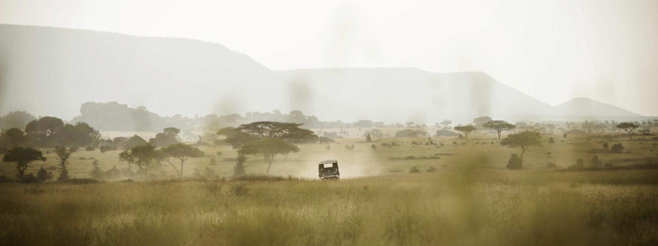 Best Tanzania safari itinerary 7 14 days Tarangire Lake Manyara Ngorongoro Serengeti Zanzibar