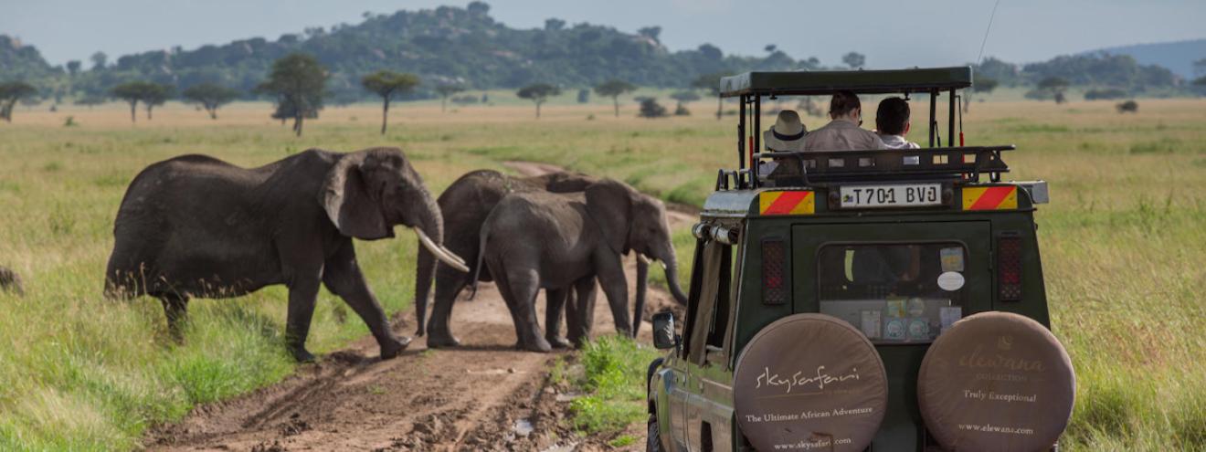 Tanzania honeymoon safari Serengeti Ngorongoro Zanzibar romantic couples adventure beach wildlife