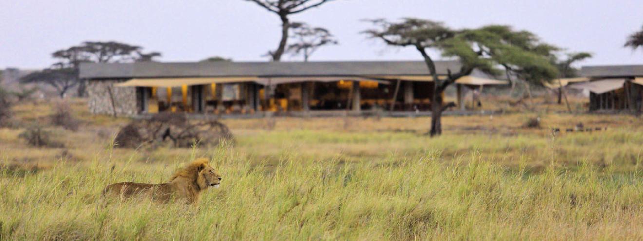 Best tented safari camps Serengeti Namiri Plains Singita Mara River Sayari Ubuntu Olakira Dunia