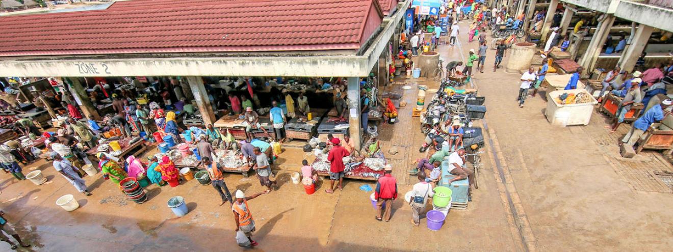 Ultimate Dar es Salaam bucket list National Museum Kariakoo Market Coco Beach Bongoyo Island Tanzania