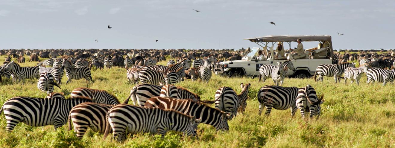 Ultimate Tanzania bucket list Kilimanjaro Serengeti Ngorongoro Selous Gombe Mahale Lake Victoria