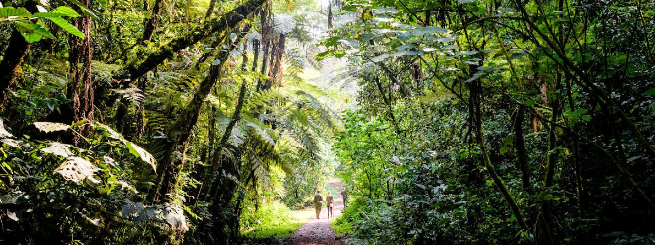 10 best lodges Uganda Clouds Mountain Gorilla Buhoma Mweya Mihingo Paraa Primate Lodge Kyaninga