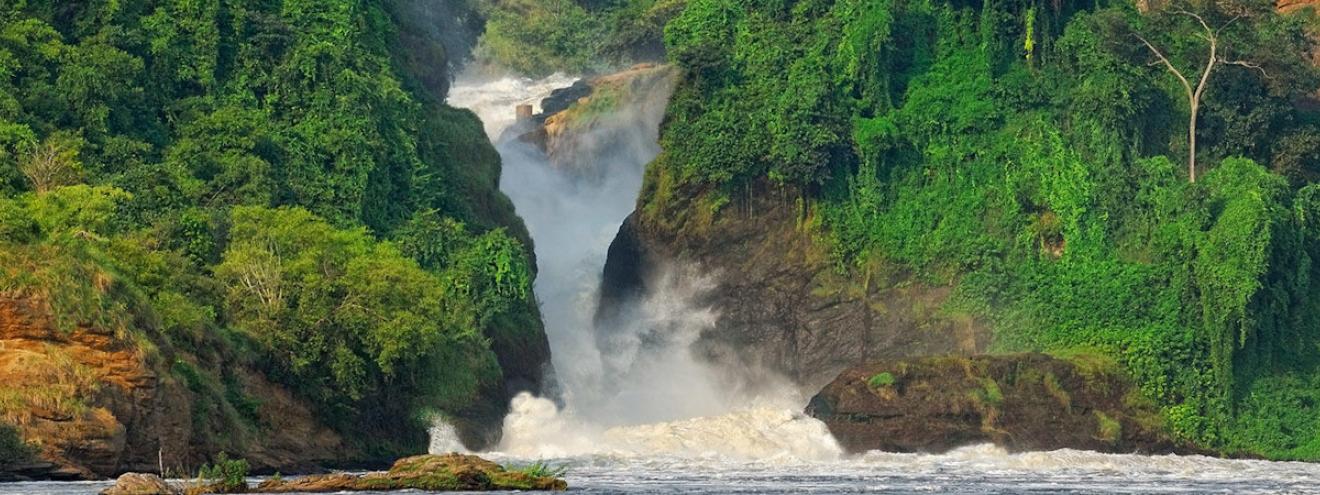 10 must-see attractions Uganda gorilla trekking Bwindi Kibale chimps Queen Elizabeth Murchison Falls Jinja