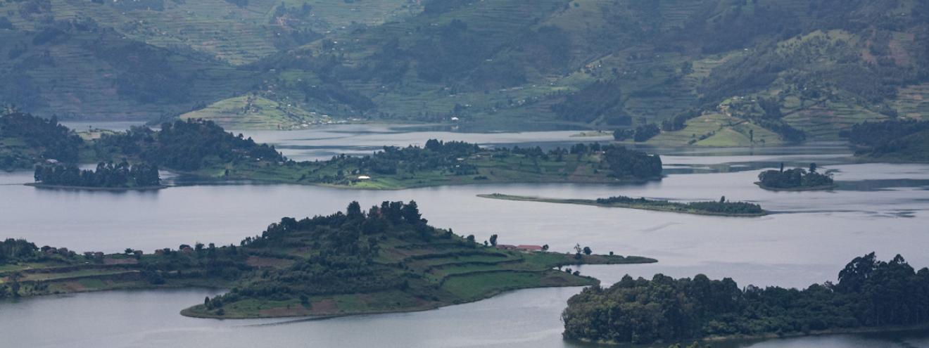Uganda safaris gorilla trekking Bwindi wildlife tours Queen Elizabeth Murchison Falls Pearl of Africa