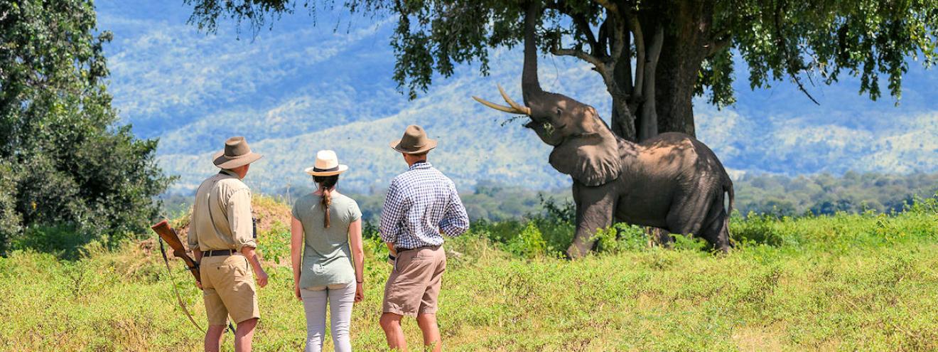 10 reasons to visit Mana Pools National Park Zimbabwe UNESCO Zambezi River wildlife walking canoe safari