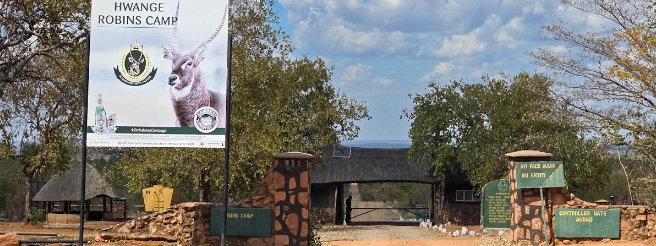 10 reasons to visit Hwange National Park Zimbabwe 40000 elephants Big Five wild dogs birdwatching