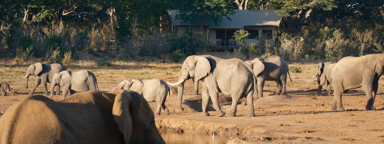 Hwange vs Kruger National Park Zimbabwe South Africa safari comparison wildlife accommodation accessibility