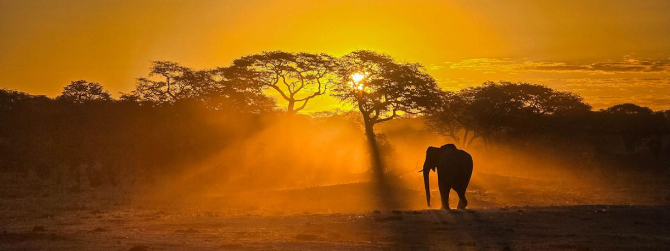Zimbabwe travel bucket list Victoria Falls Hwange Mana Pools Matobo Gonarezhou canoe horseback safari