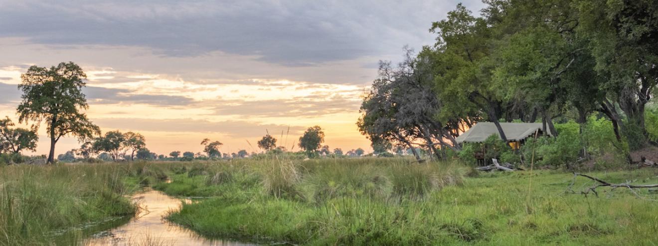 Duba Explorers Camp within the famed Duba Plains Concession of the Okavango Delta