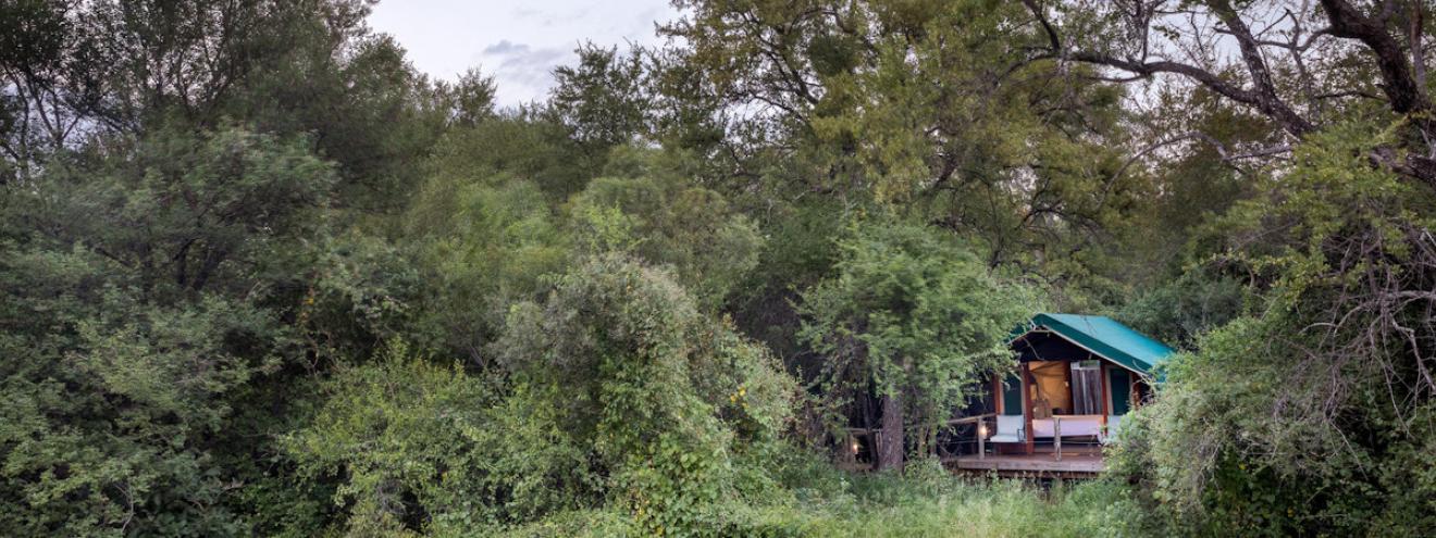 Mashatu Tent Camp in the Northern Tuli Game Reserve