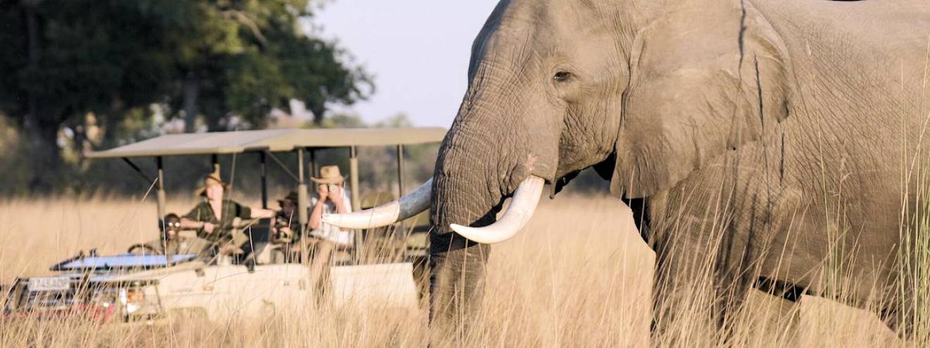Best Okavango Fly In Safari a 6 night Botswana Fly In Safari