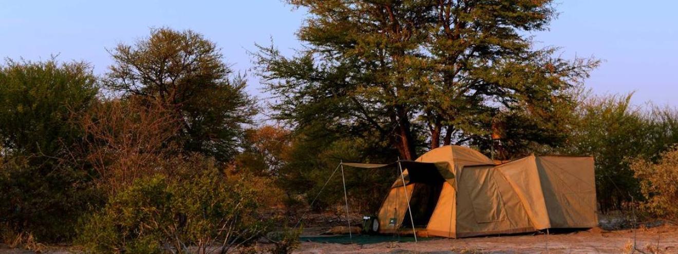Botswana Delta Moremi 7 days boat mokoro walking game drive Xaxaba Island Xinii Botswana
